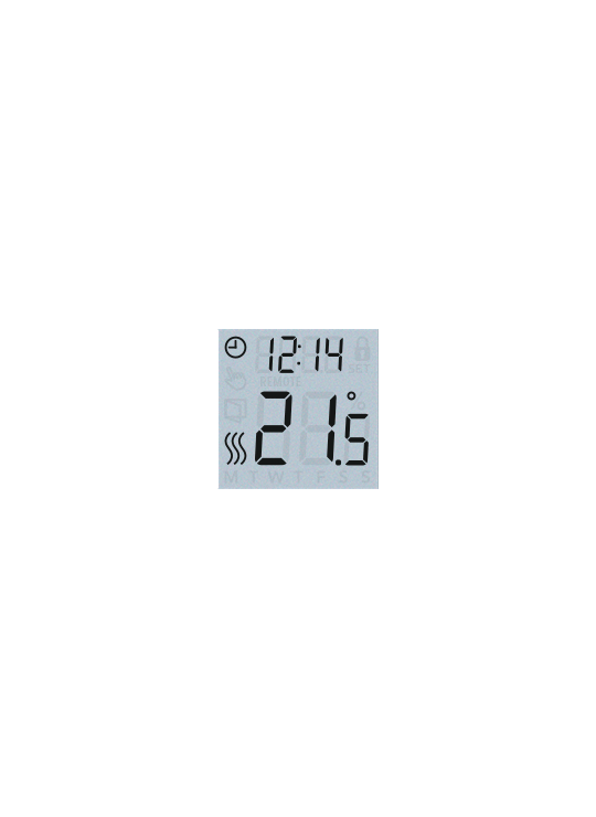 Thermostat display