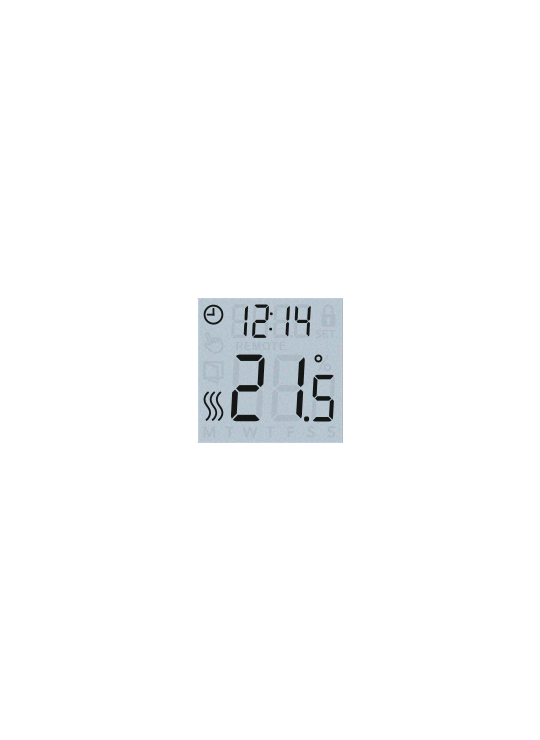 Thermostat display
